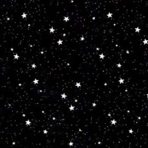 Meet your Posher, Tempie